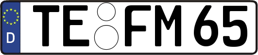 TE-FM65