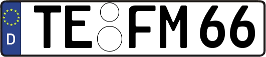 TE-FM66