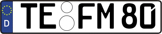TE-FM80