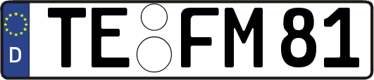 TE-FM81