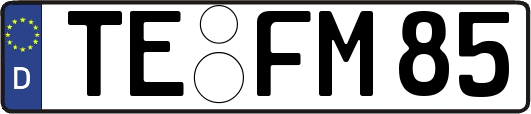 TE-FM85