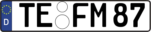 TE-FM87