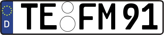 TE-FM91