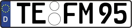 TE-FM95
