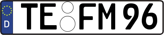TE-FM96