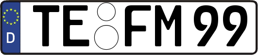 TE-FM99