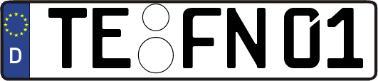 TE-FN01