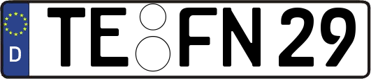 TE-FN29