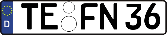 TE-FN36