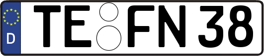 TE-FN38