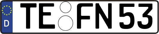 TE-FN53