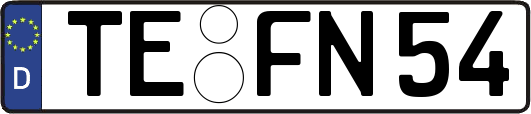 TE-FN54