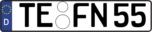 TE-FN55