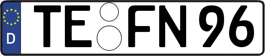 TE-FN96