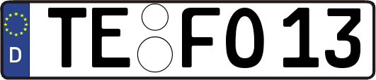 TE-FO13