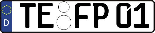 TE-FP01