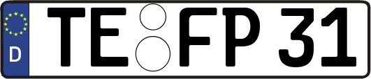 TE-FP31