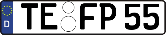 TE-FP55