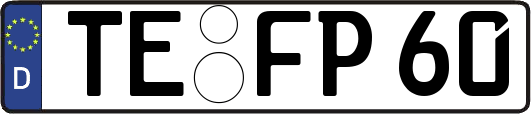 TE-FP60
