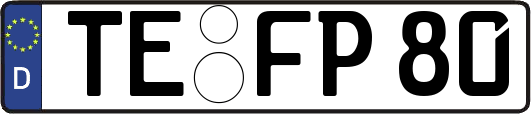 TE-FP80