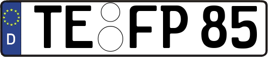 TE-FP85