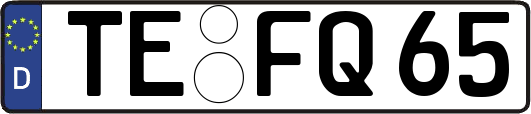 TE-FQ65
