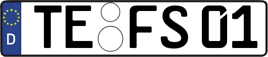 TE-FS01