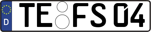 TE-FS04