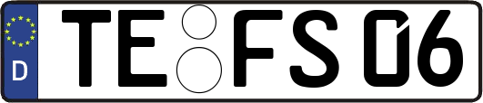 TE-FS06
