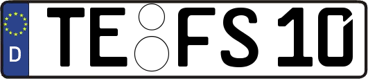 TE-FS10