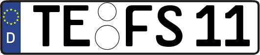 TE-FS11