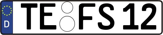 TE-FS12