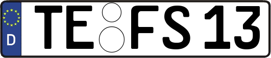 TE-FS13