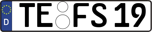 TE-FS19