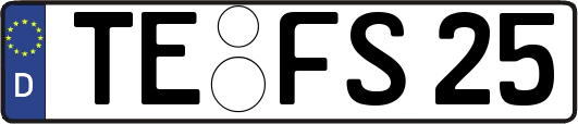 TE-FS25