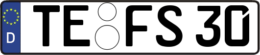 TE-FS30