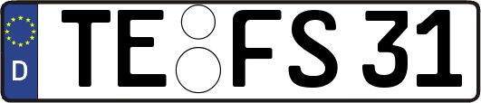 TE-FS31