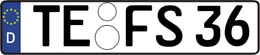 TE-FS36