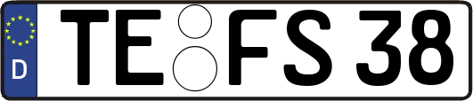 TE-FS38