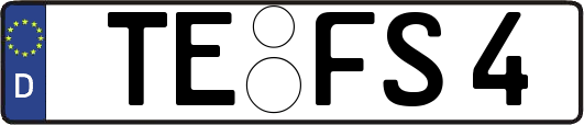 TE-FS4