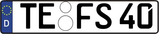 TE-FS40