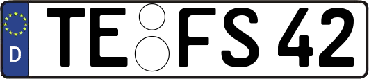 TE-FS42