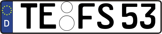 TE-FS53