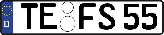 TE-FS55