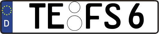 TE-FS6