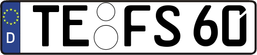TE-FS60