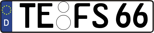 TE-FS66