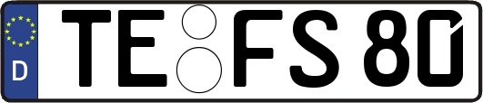 TE-FS80