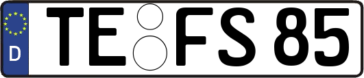 TE-FS85