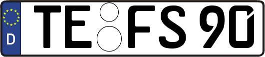 TE-FS90